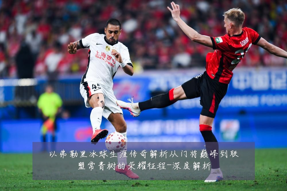 以弗勒里冰球生涯传奇解析从门将巅峰到联盟常青树的荣耀征程-深度解析